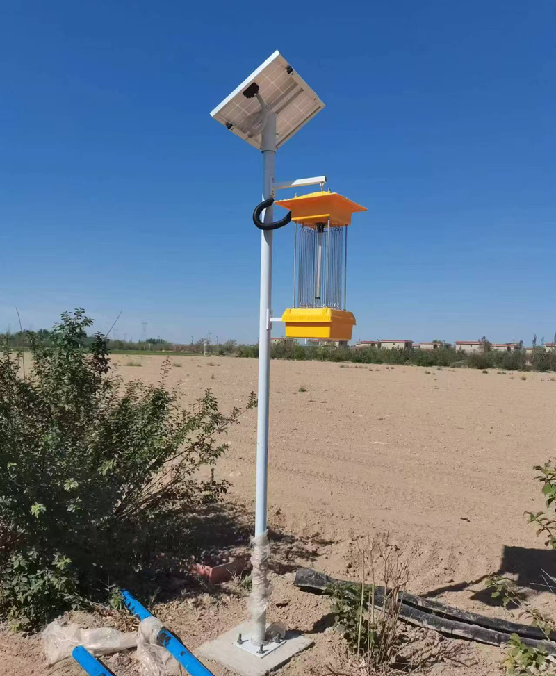 Lampes solaires anti-insectes NiuBoL exportées vers la Roumanie